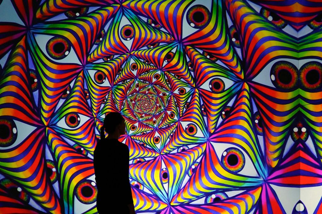Illusionaries: Entry Ticket