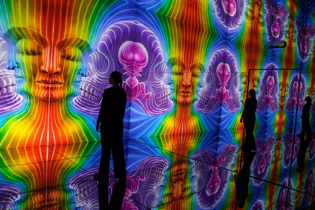 Illusionaries: Biglietto d'ingresso