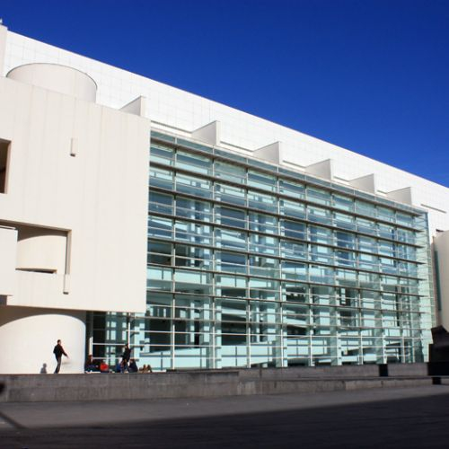 Barcelona Museum Pass - Articket: Skip The Line