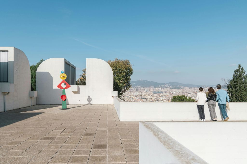Barcelona Museum Pass - Articket: Skip The Line
