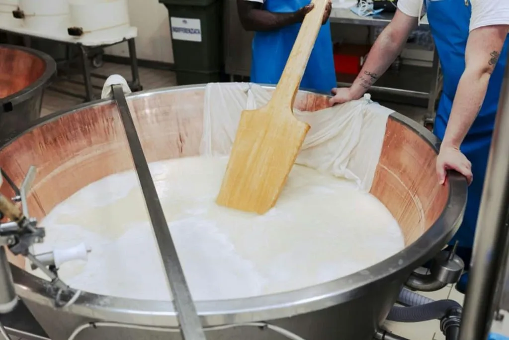 Noceto: Parmesan Cheese Factory Guided Tour + Tasting