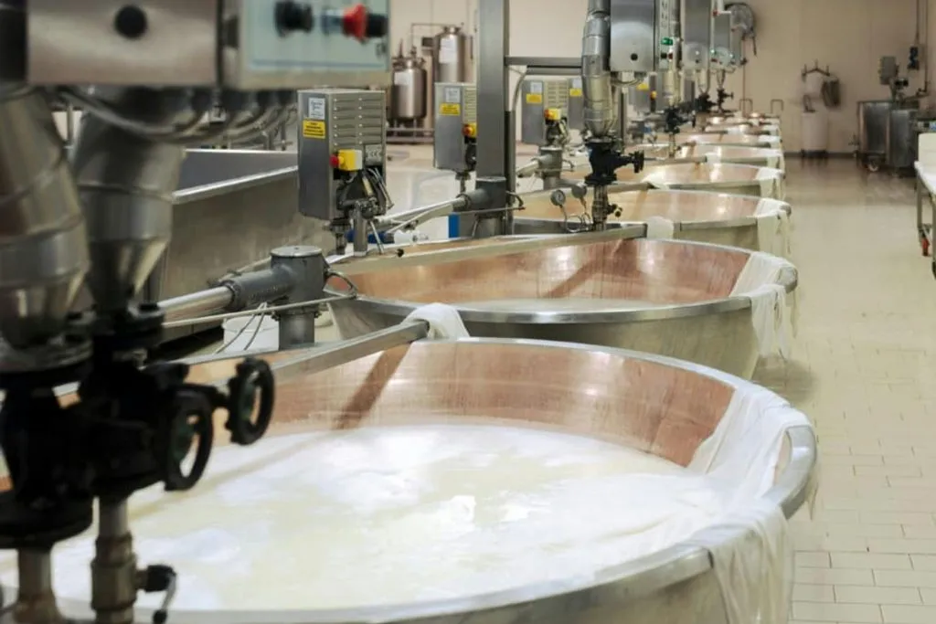 Noceto: Parmesan Cheese Factory Guided Tour + Tasting