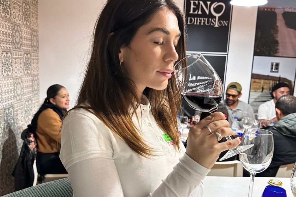 Toledo: visita guidata della città + trasferimento da Madrid + degustazione di vino e tapas