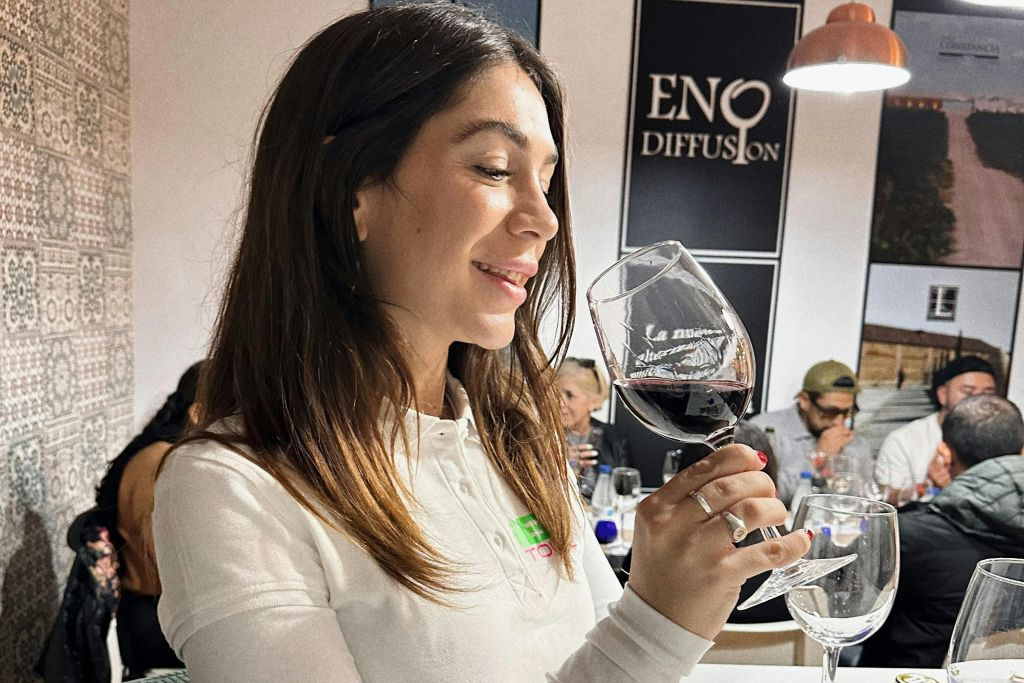 Toledo: visita guidata della città + trasferimento da Madrid + degustazione di vino e tapas