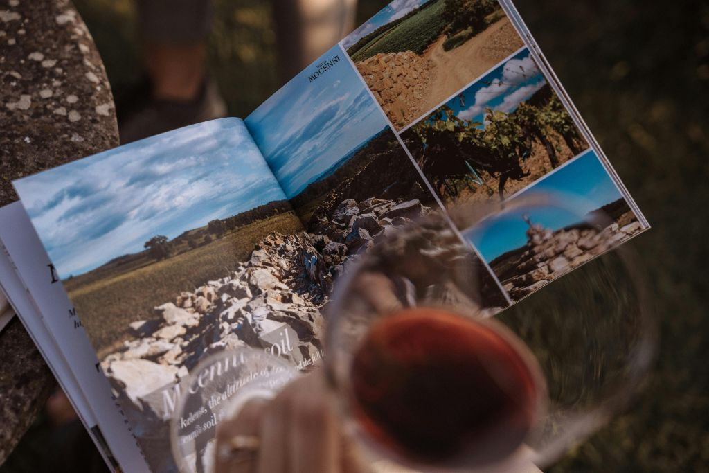 Tenuta Mocenni de Bindi Sergardi : visite guidée + dégustation de vins