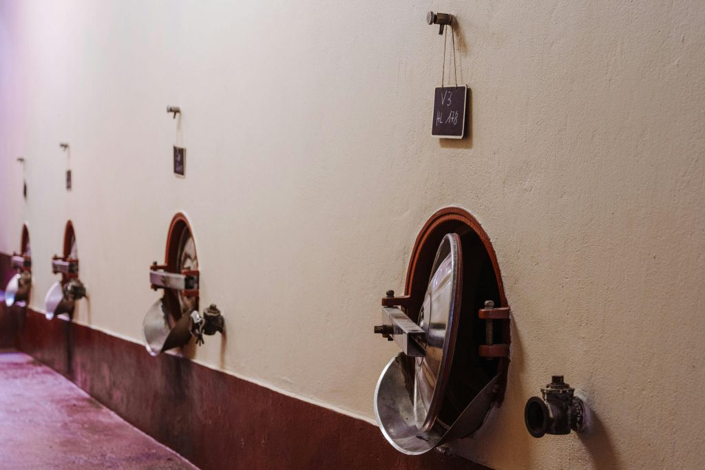 Tenuta Mocenni de Bindi Sergardi : visite guidée + dégustation de vins