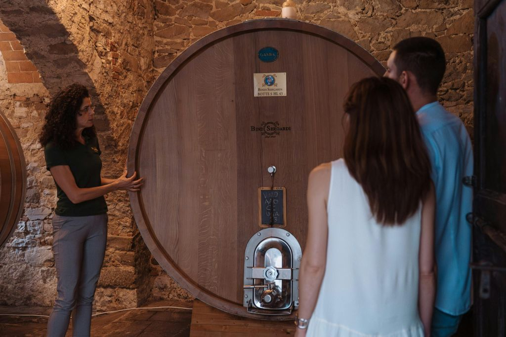 Tenuta Mocenni de Bindi Sergardi : visite guidée + dégustation de vins