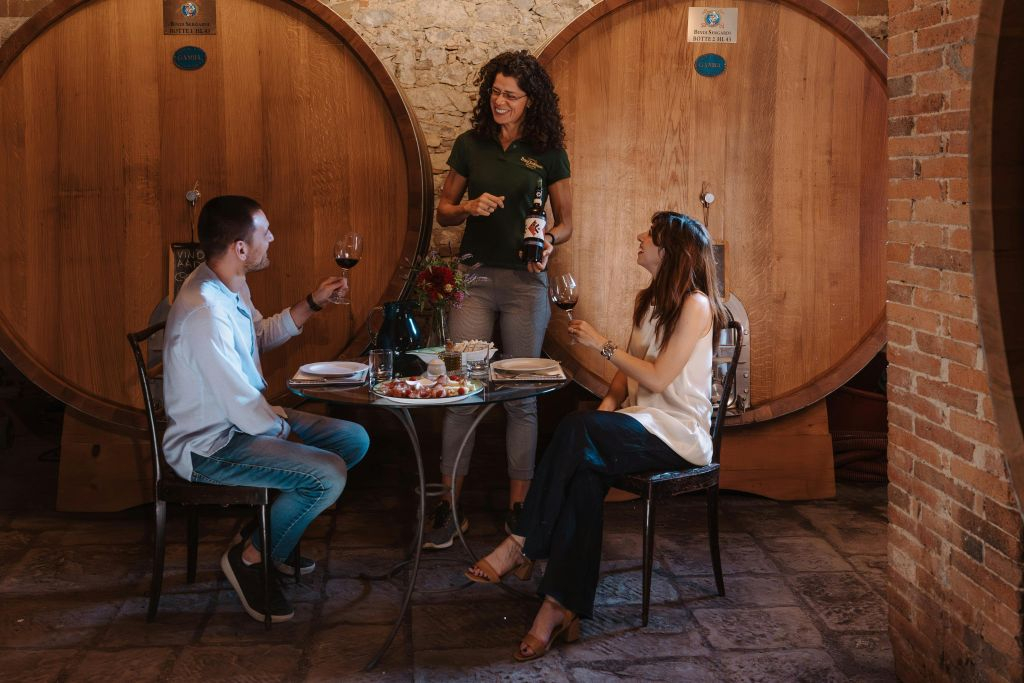 Tenuta Mocenni de Bindi Sergardi : visite guidée + dégustation de vins