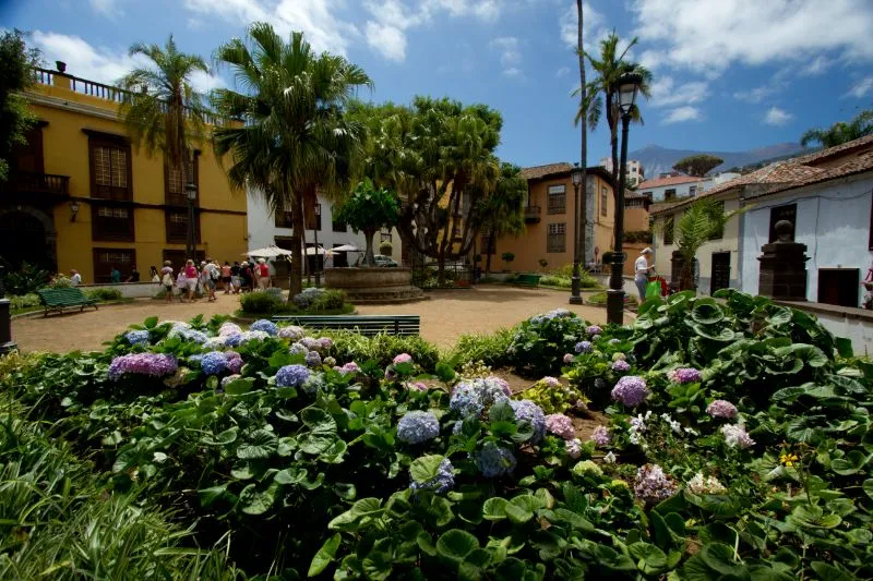 Parque del Drago Milenario y jardines botánicos