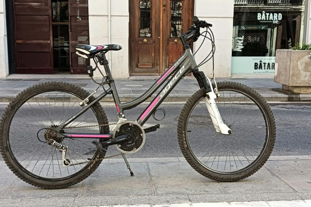 Valencia: Adult Mountain Bike Rental