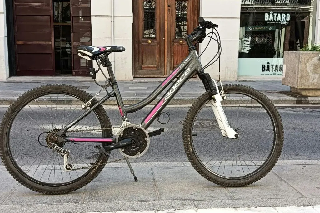 Valencia: Adult Mountain Bike Rental