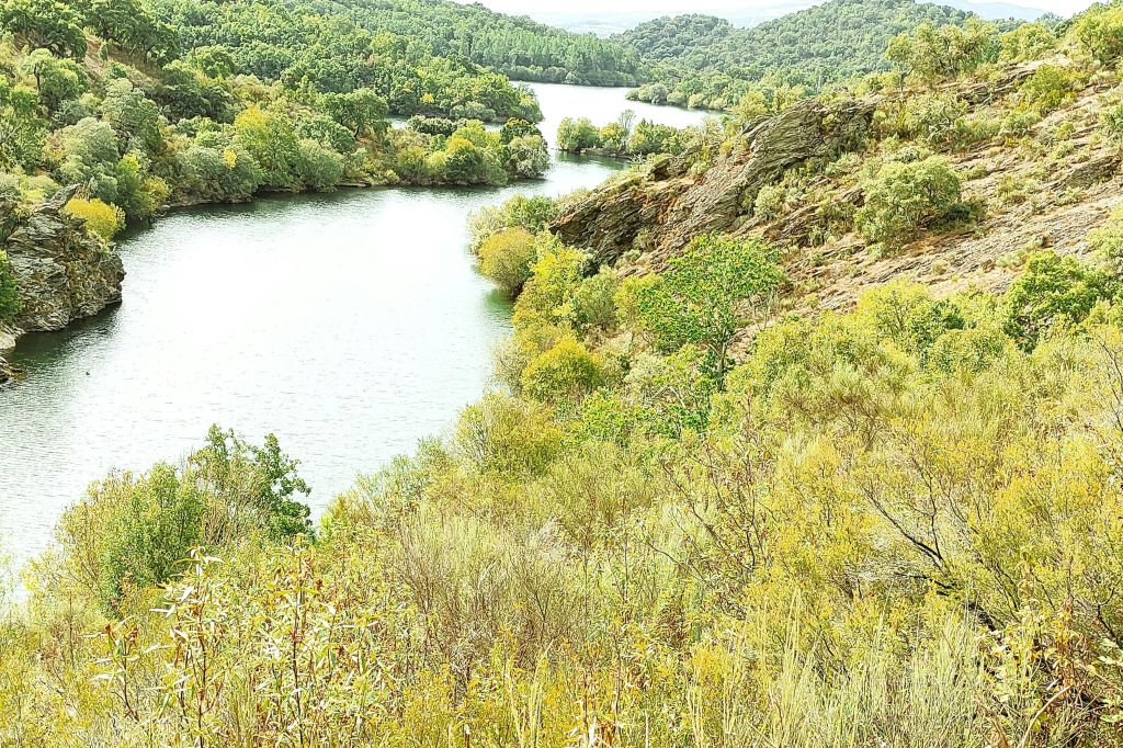 Serra de Monchique e Lago da Bravura: Passeio de dia inteiro em 4X4