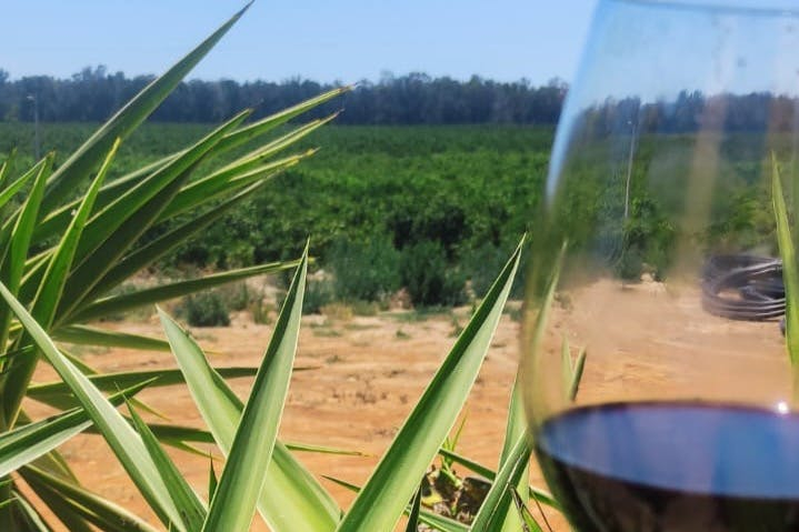 Algarve: Prova de Vinhos e Tapas + Passeio de 4x4