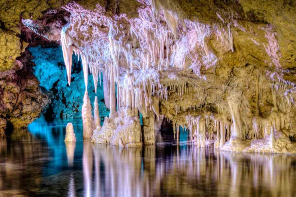 Dinosaurland & Hams' Caves: Combo Ticket