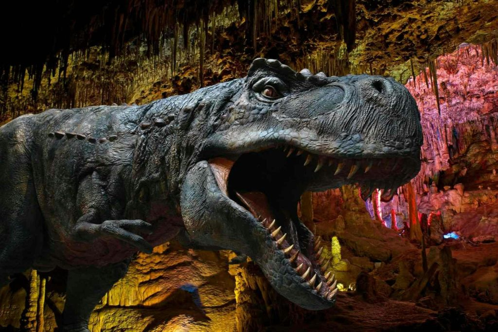 Dinosaurland & Hams' Caves: Combo Ticket
