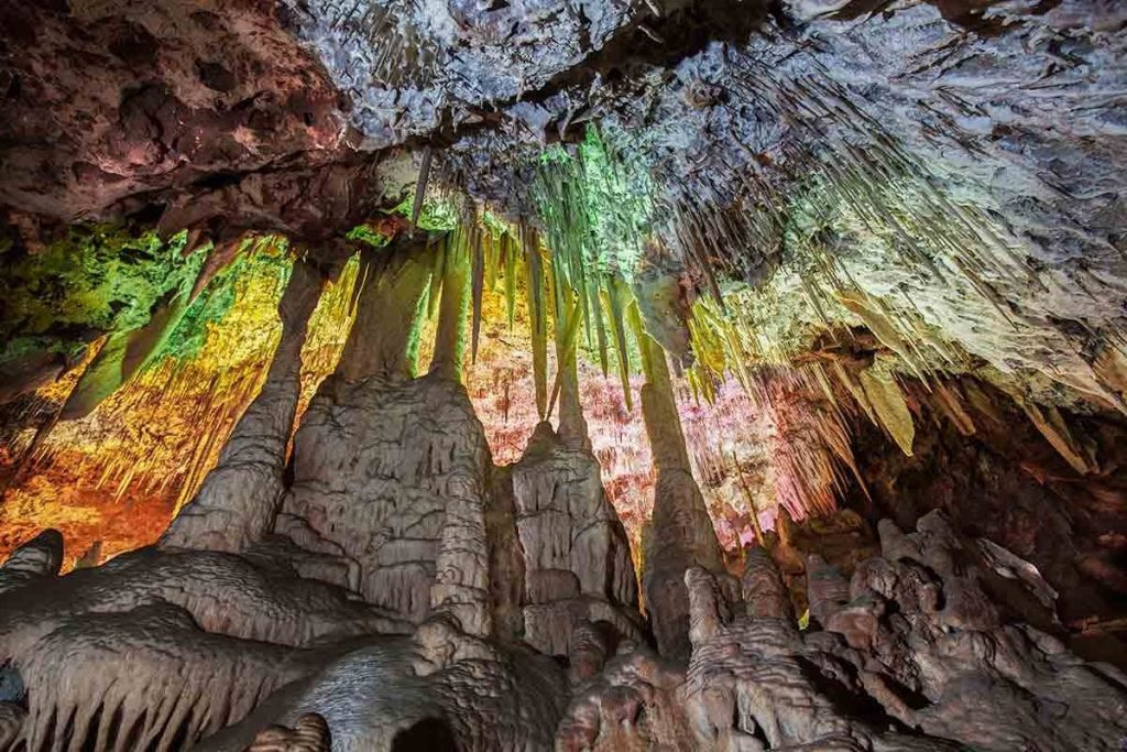 Dinosaurland & Hams' Caves: Combo Ticket