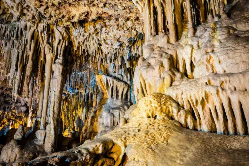 Dinosaurland & Hams' Caves: Combo Ticket