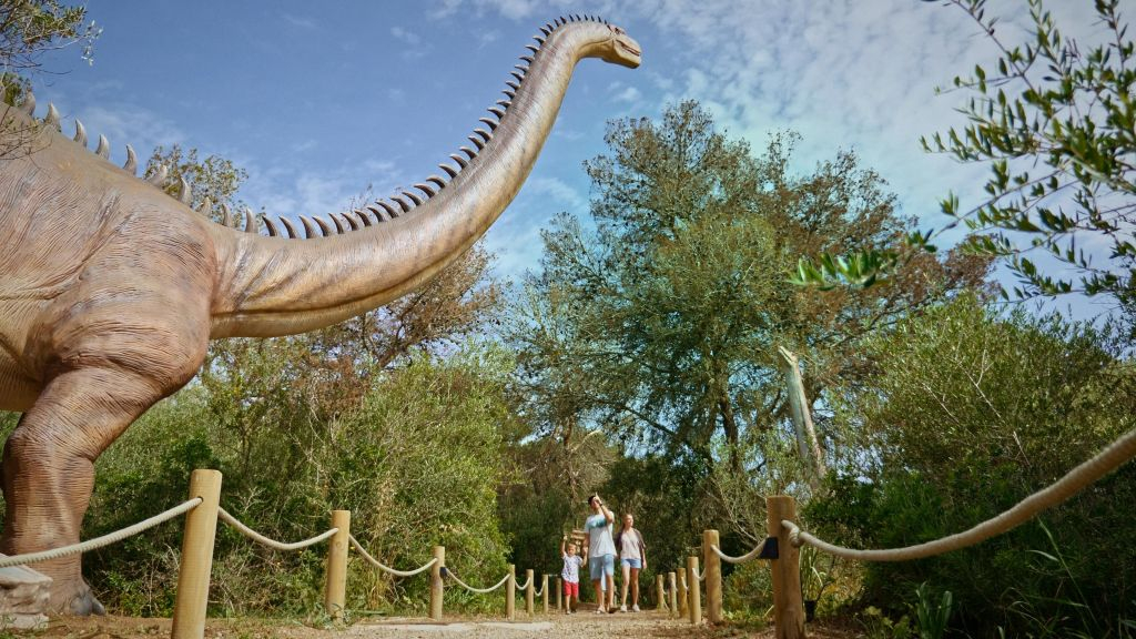 Dinosaurland & Hams' Caves: Combo Ticket