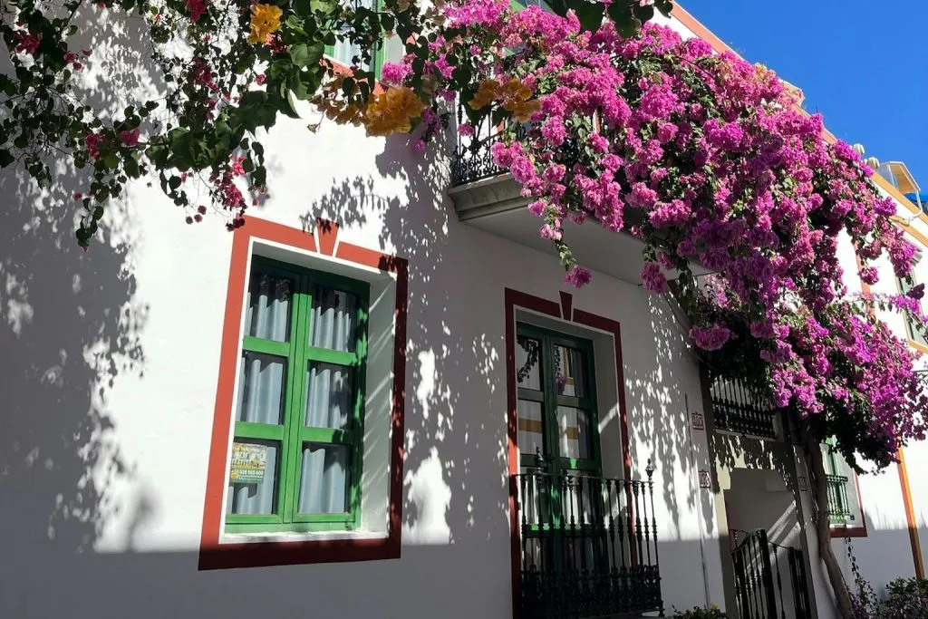 Suroeste de Gran Canaria: Visita guiada + Traslados