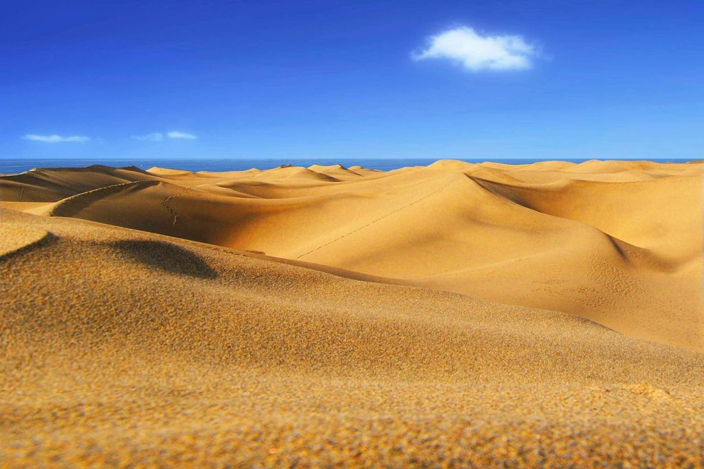 Suroeste de Gran Canaria: Visita guiada + Traslados
