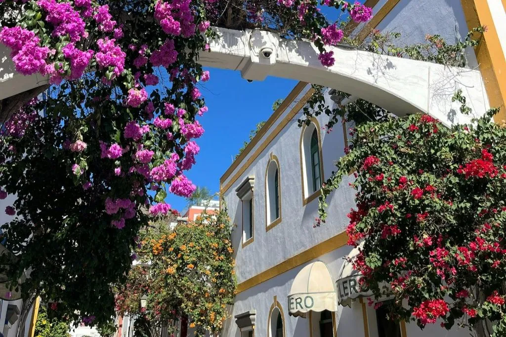 Suroeste de Gran Canaria: Visita guiada + Traslados