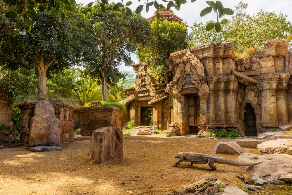 Bioparc Fuengirola: Biglietto d'ingresso