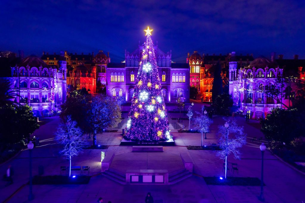 Els Llums de Sant Pau: Christmas Garden