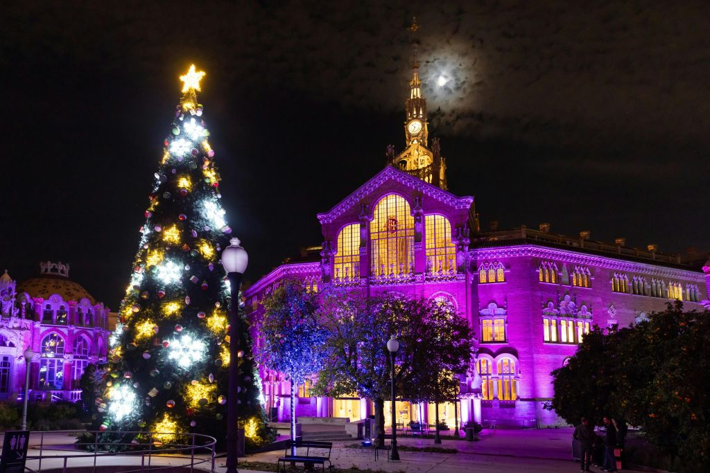 Els Llums de Sant Pau: Christmas Garden