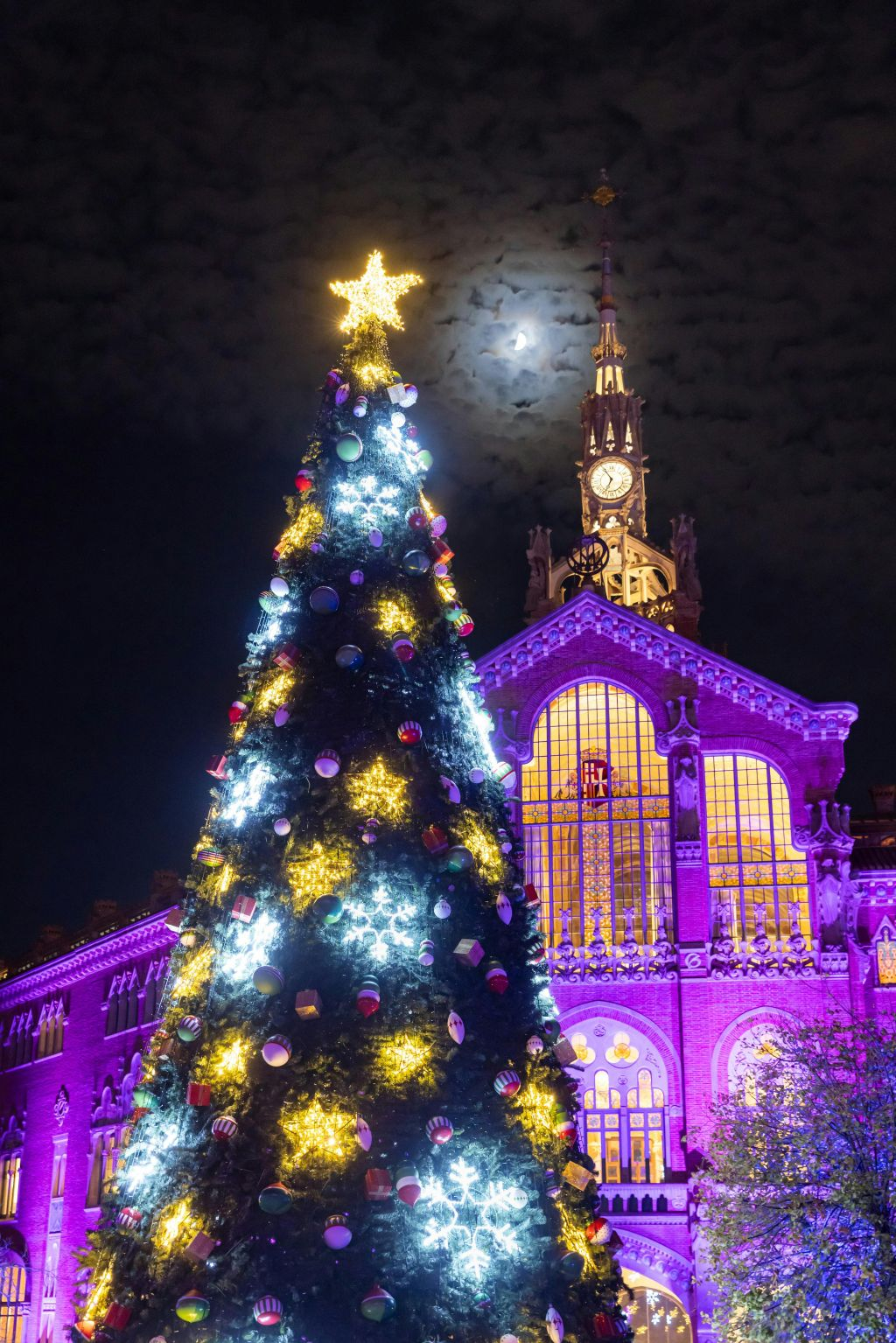 Els Llums de Sant Pau: Christmas Garden