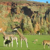 Cabárceno Nature Park
