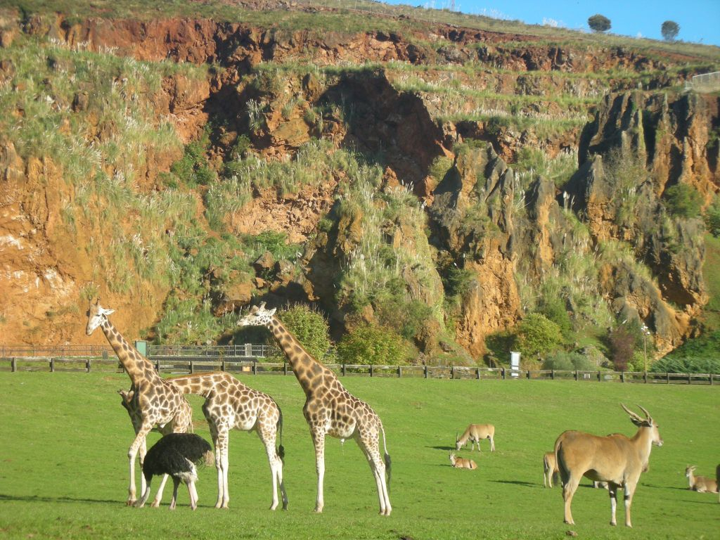 Parque de la Naturaleza de Cabárceno