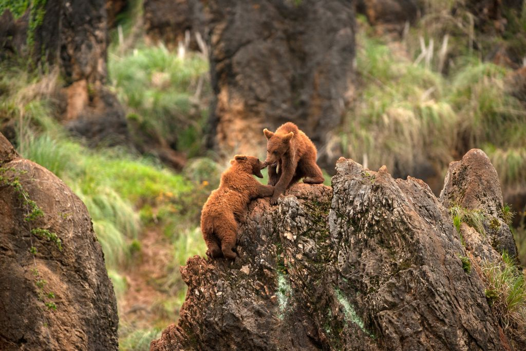 Cabárceno Nature Park