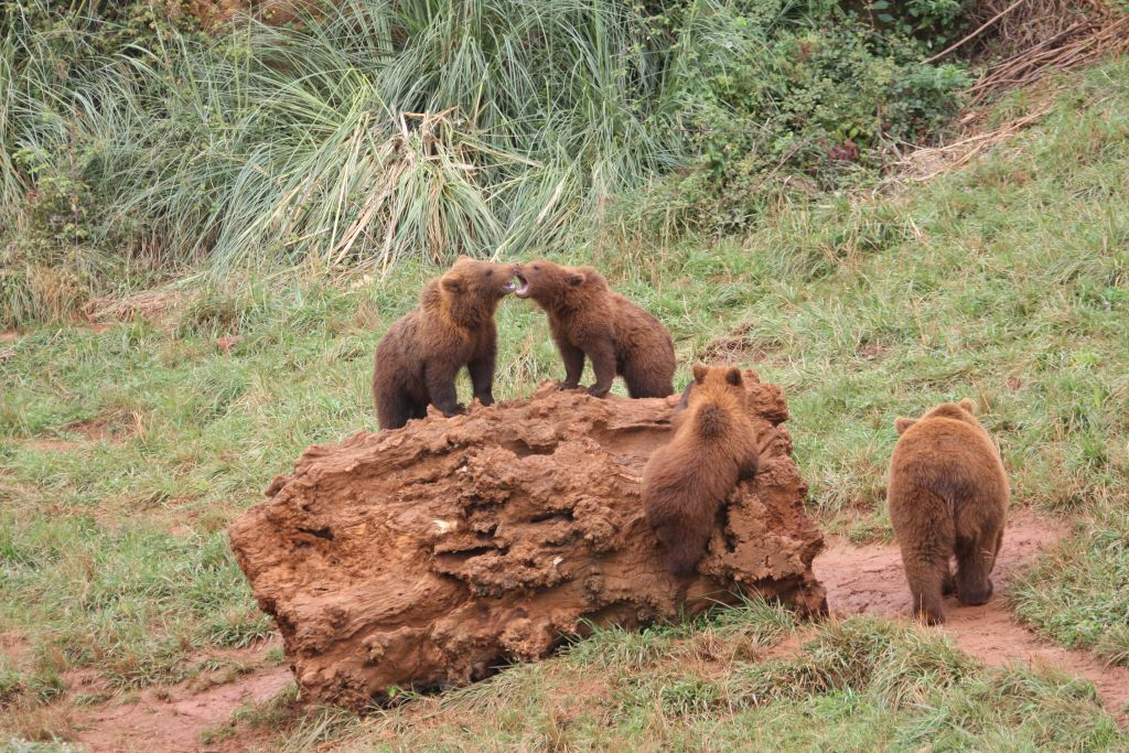 Cabárceno Nature Park
