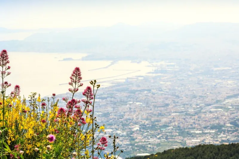 Monte Vesuvio: Ingresso veloce + trasferimento di andata e ritorno da Napoli