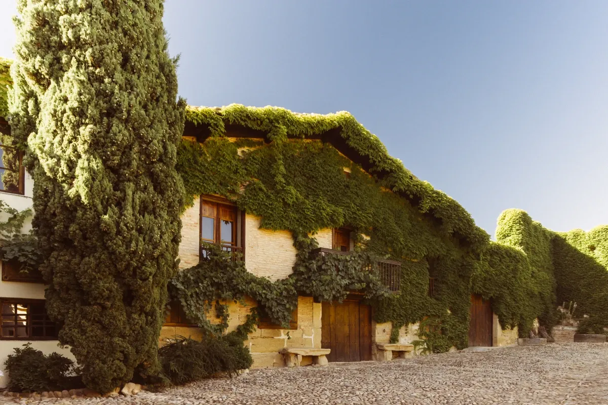 Bodega Viñedos del Contino (Álava)