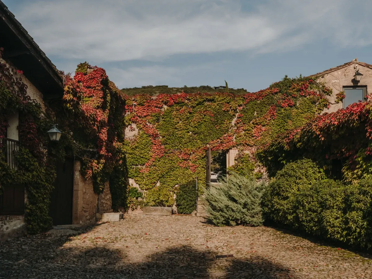 Bodega Viñedos del Contino (Álava)