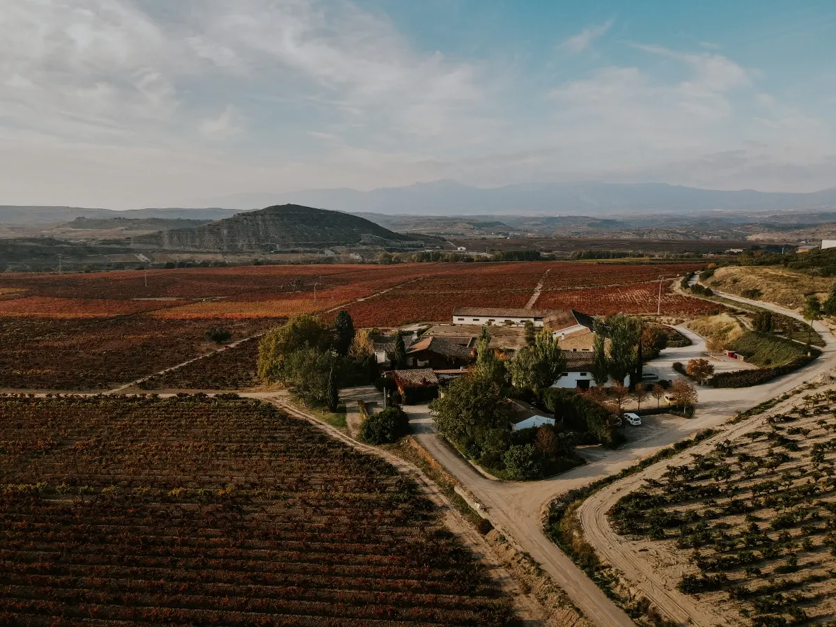 Bodega Viñedos del Contino (Álava)