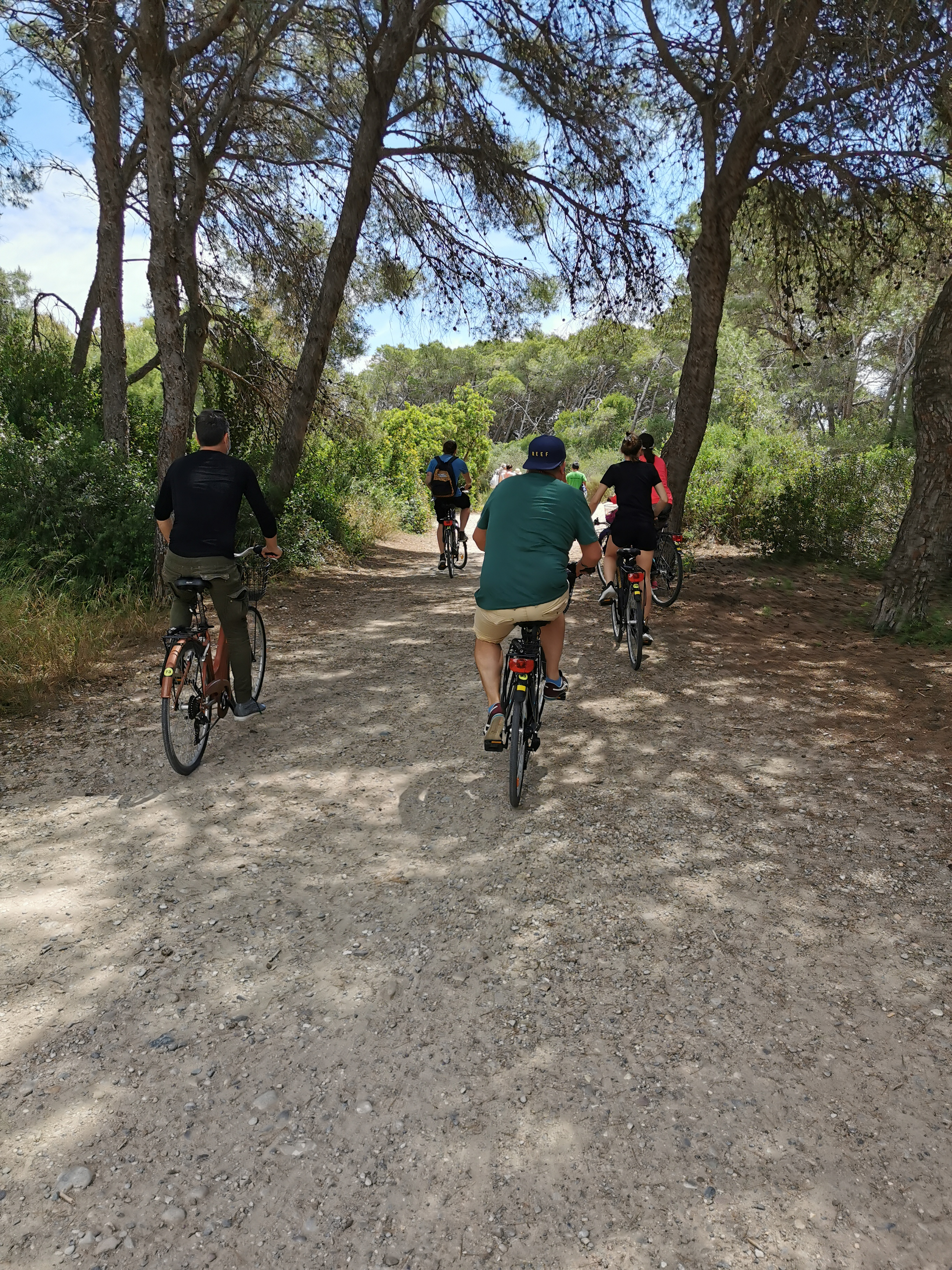 Alquiler de Bicicleta y Paseo en Barca por la Albufera de Valencia