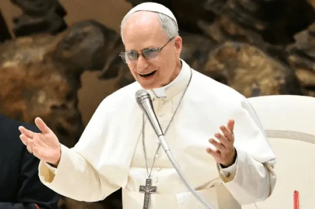Città del Vaticano: Tour guidato delle udienze papali