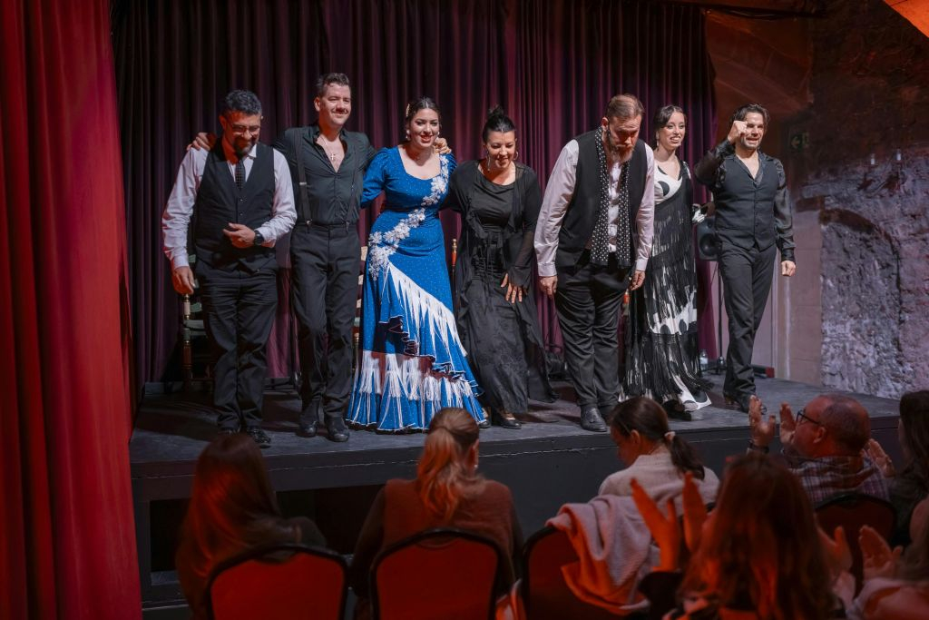 Palau Dalmases: Flamenco Show