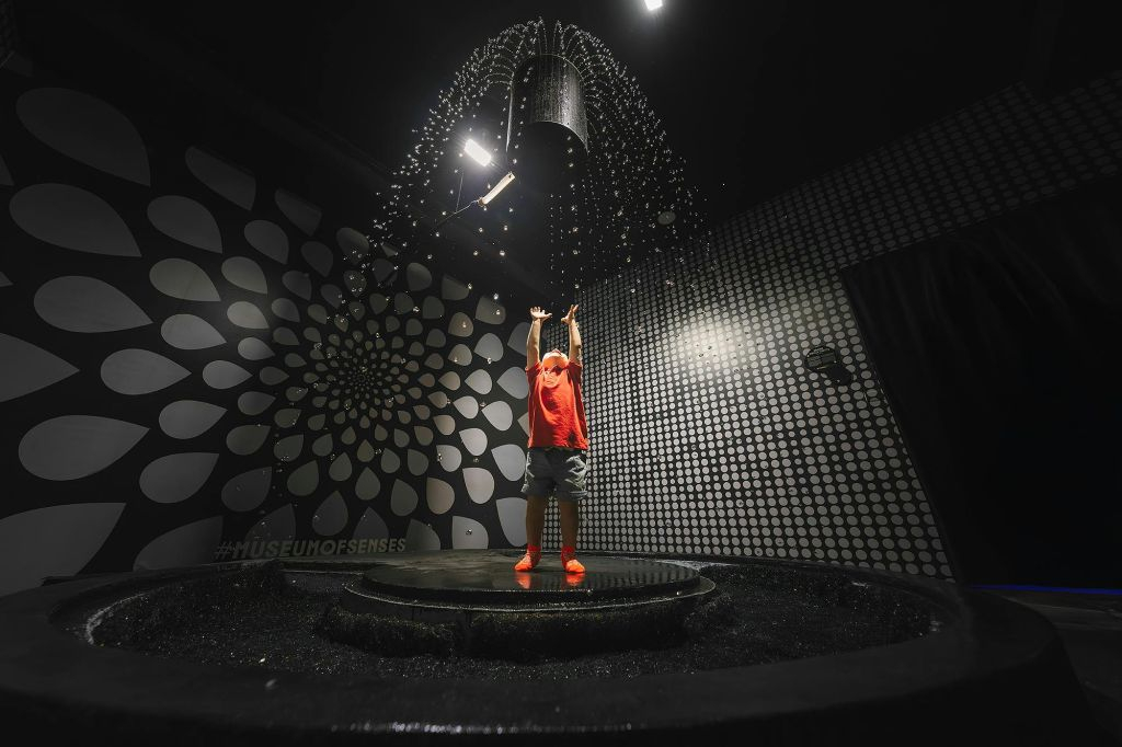 Museo dei Sensi Milano: Biglietto d'ingresso