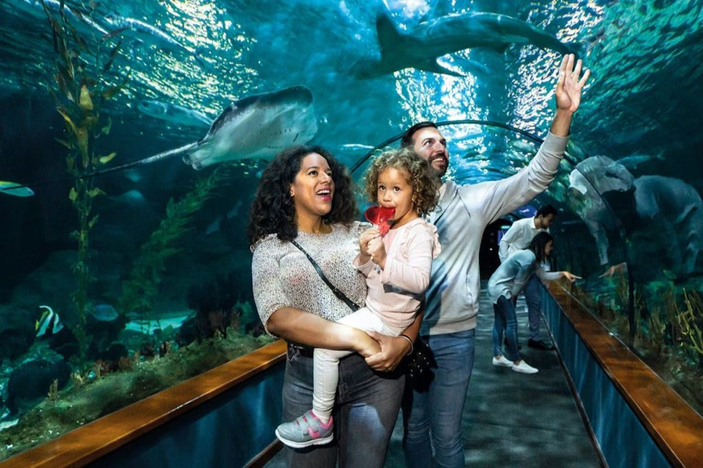 Loro Parque: Biglietto d'ingresso + Diamond Pass