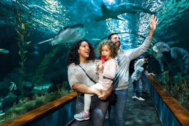 Loro Parque: Entrada + Diamond Pase