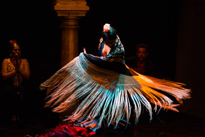 Flamenco Dance Museum - Show Only
