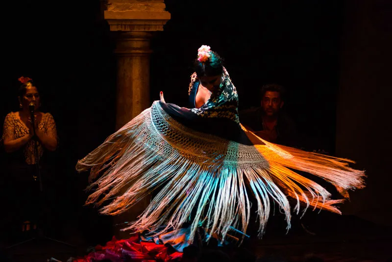 Flamenco Dance Museum - Show Only