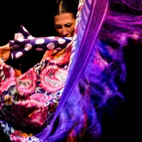 Flamenco Dance Museum - Show Only