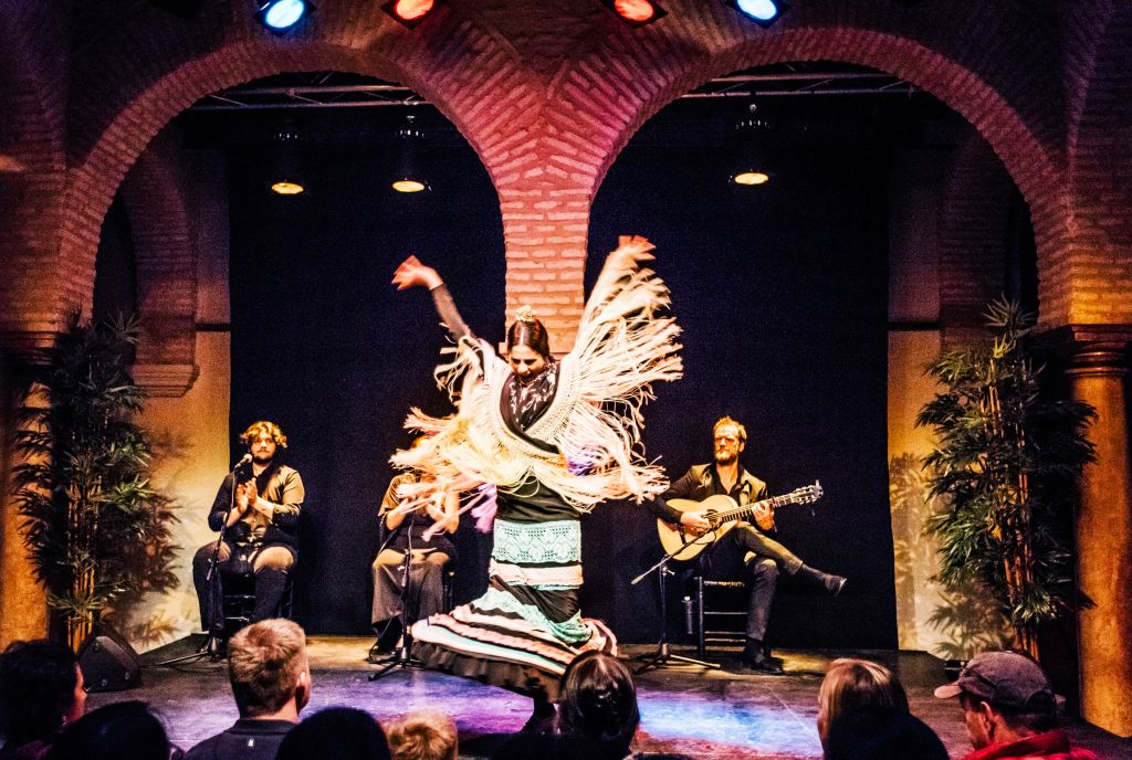 Flamenco Dance Museum - Show Only