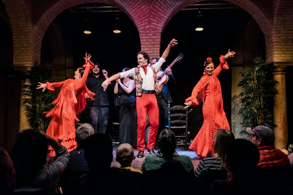 Flamenco Dance Museum - Show Only