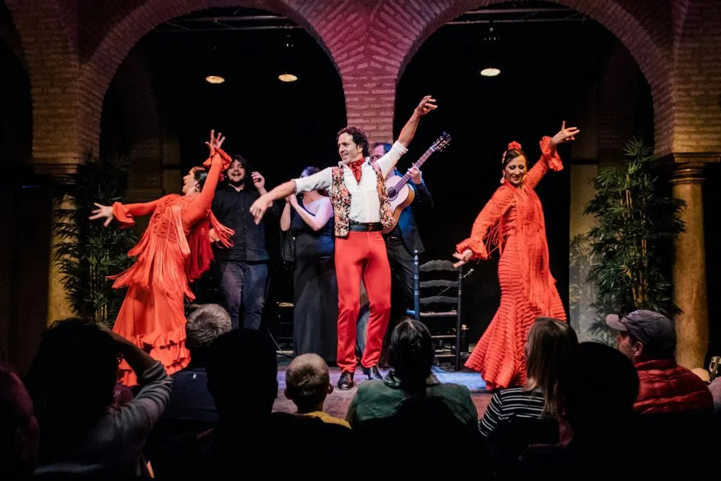 Flamenco Dance Museum - Show Only