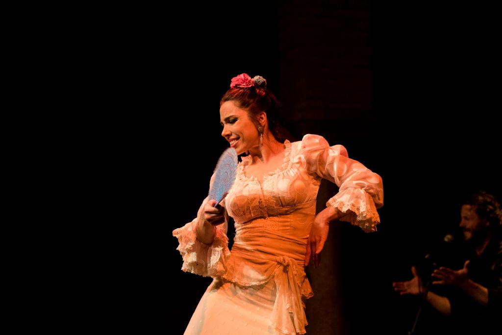 Flamenco Dance Museum - Show Only